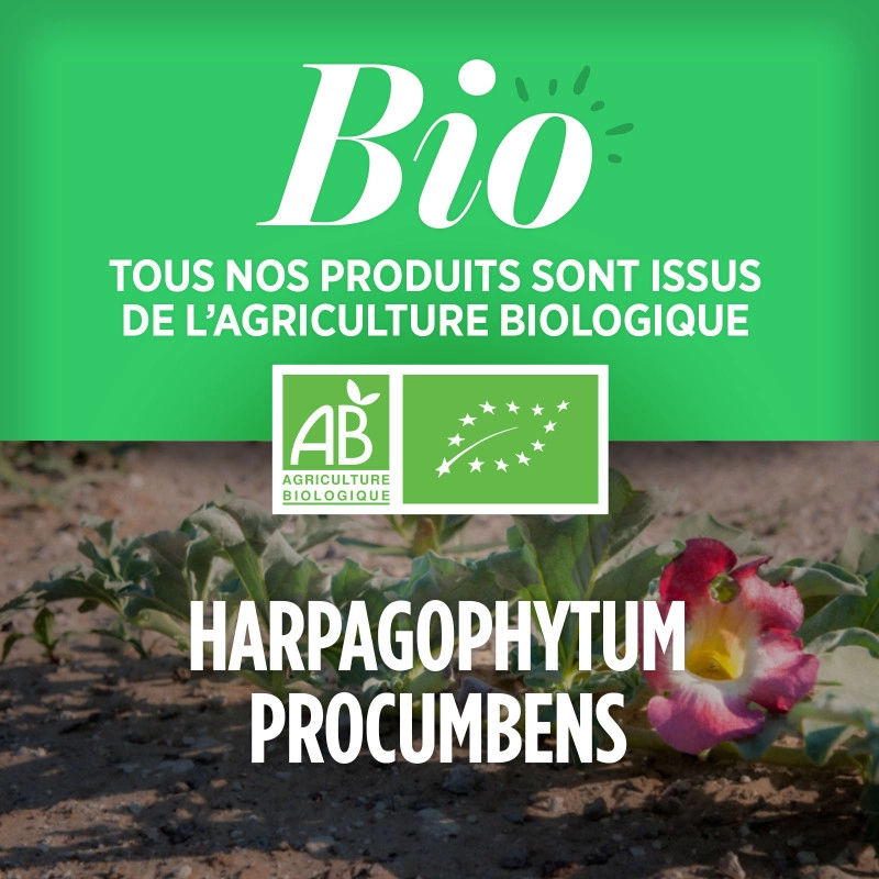Harpagophytum Bio (400mg) 120 comprimés - BIO ATLANTIC
