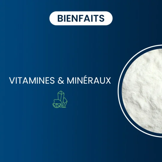 Lactoferrine Bio active 200 mg - 60 gélules