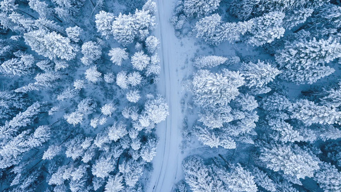 Prévenir et limiter les agressions de la saison froide avec des solutions naturelles :