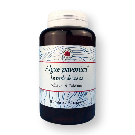 Algae Padina pavonica 150 gélules (500mg) - Vecteur Energy