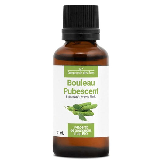 Bouleau pubescent - Macérat de bourgeons 30 ml Bio - SYPURE