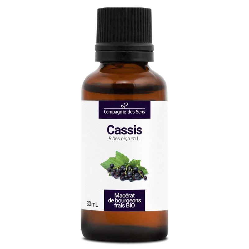 Cassis - Macérat de bourgeons 30 ml Bio - SYPURE