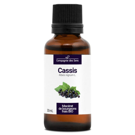 Cassis - Macérat de bourgeons 30 ml Bio - SYPURE