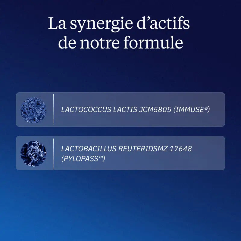 Complexe Postbiotiques 60 gélules - Dynvéo