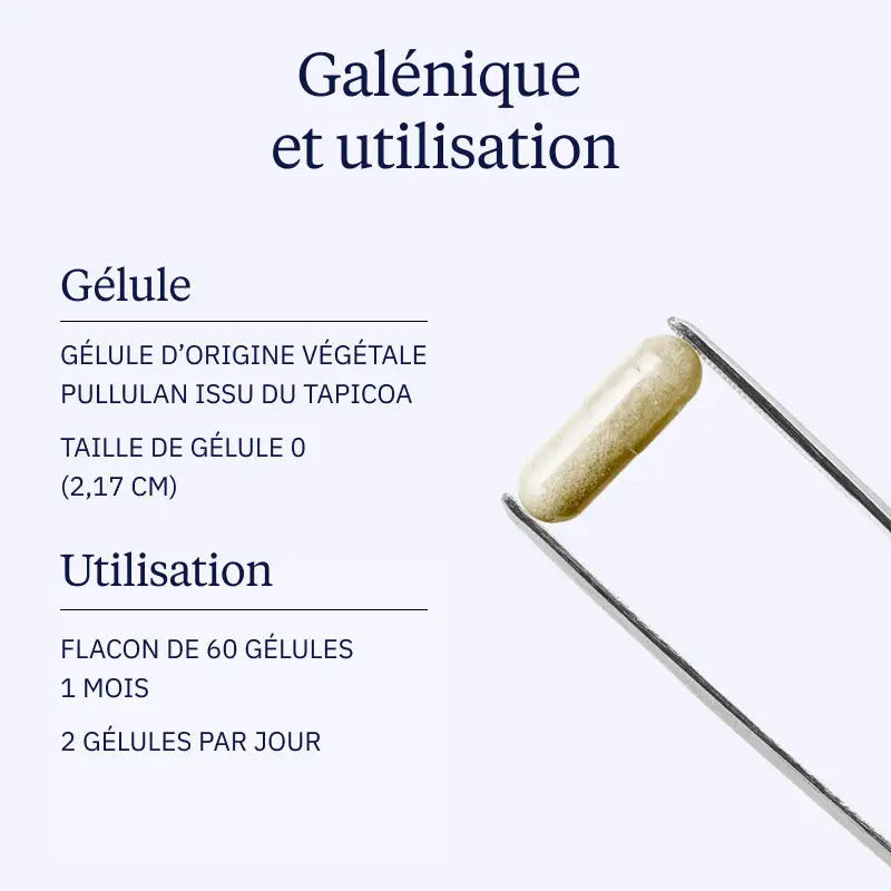 Complexe Postbiotiques 60 gélules - Dynvéo