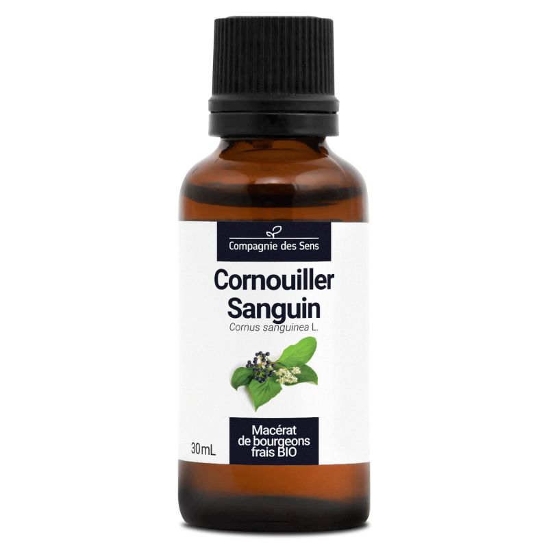 Cornouiller Sanguin - Macérat de bourgeons 30 ml Bio - SYPURE