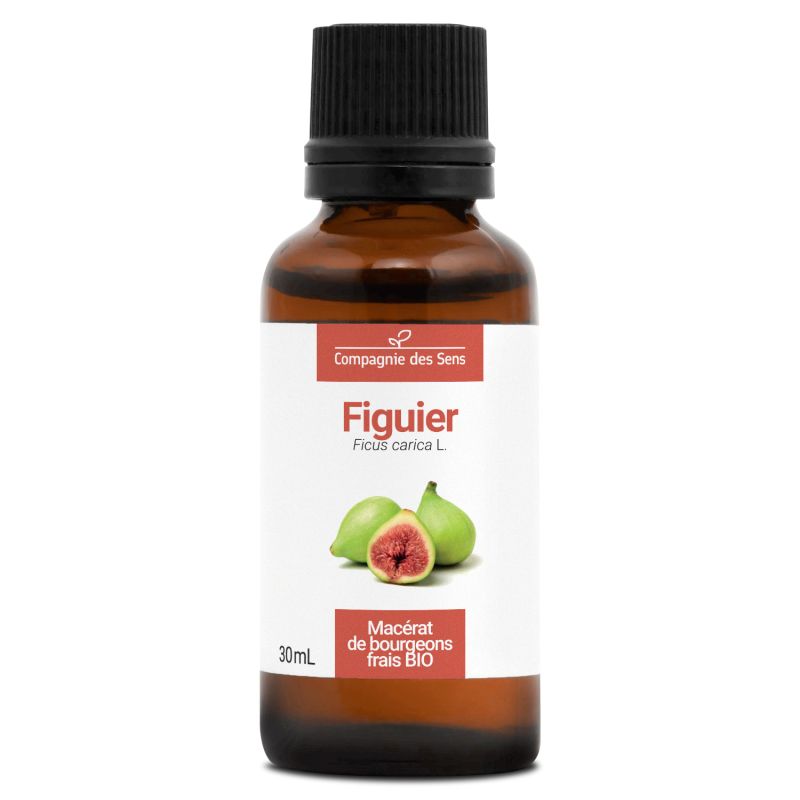 Figuier - Macérat de bourgeons 30 ml Bio - SYPURE