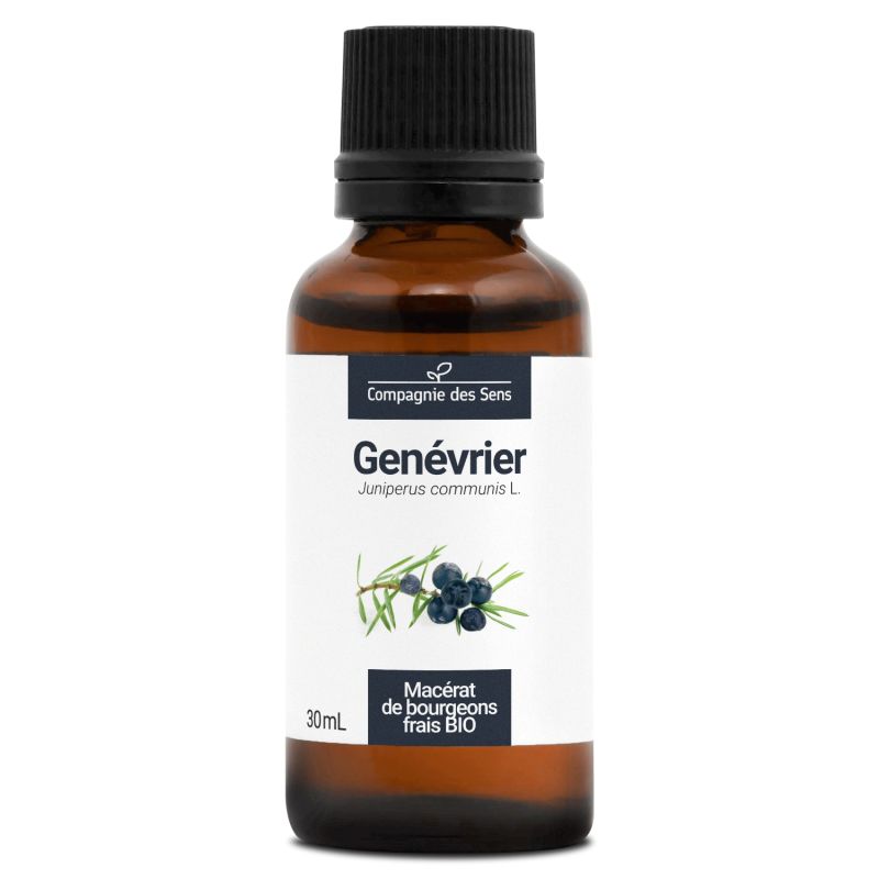 Genévrier - Macérat de bourgeons 30 ml Bio - SYPURE