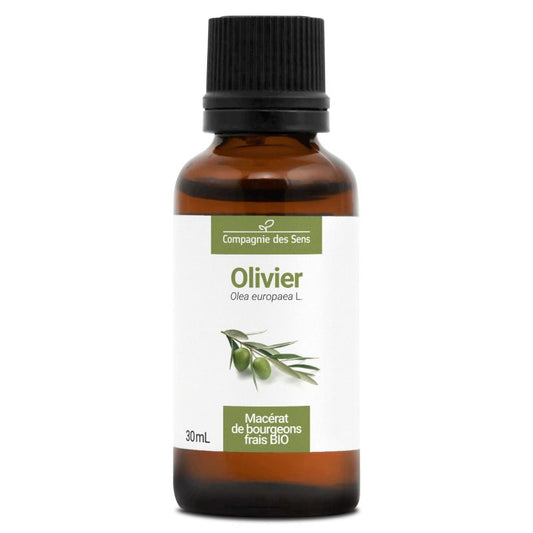 Olivier - Macérat de bourgeons 30 ml Bio - SYPURE