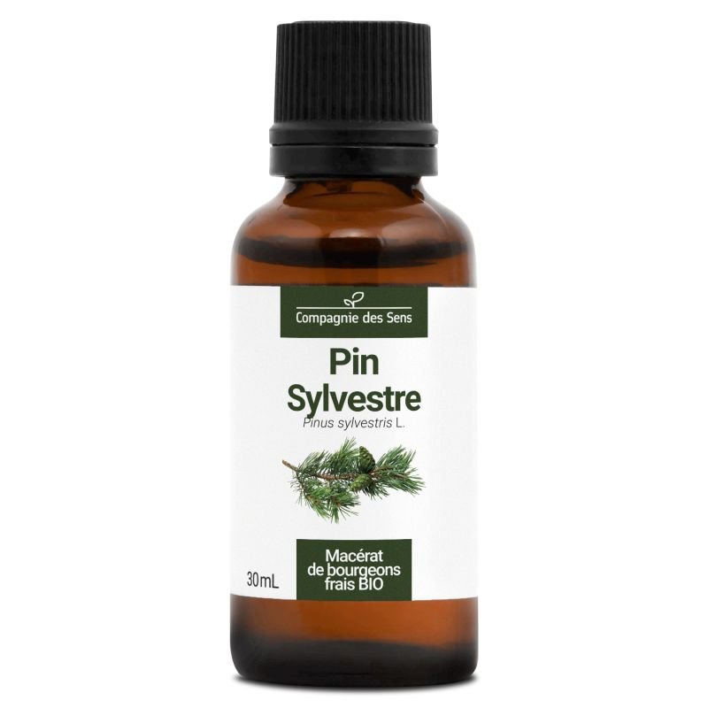 Pin Sylvestre - Macérat de bourgeons 30 ml Bio - SYPURE