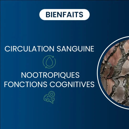 Pycnogenol 50 mg - 60 gélules / Dynvéo
