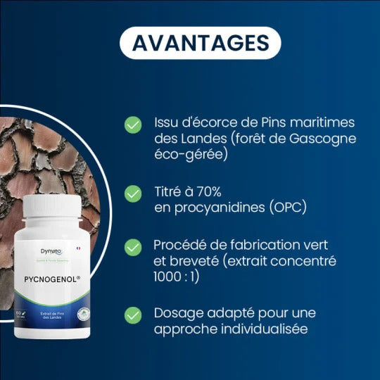 Pycnogenol 50 mg - 60 gélules / Dynvéo