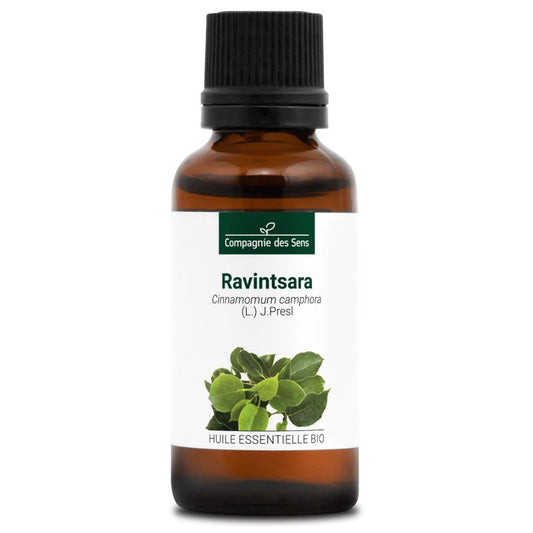 Ravintsara - Huile essentielle 30 ml Bio - SYPURE