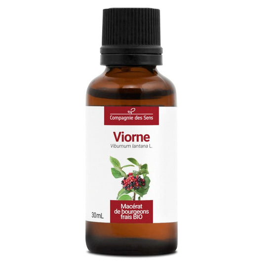 Viorne - Macérat de bourgeons 30 ml Bio - SYPURE