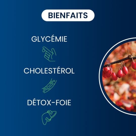 Berbérine pure - Dynveo - SYPURE