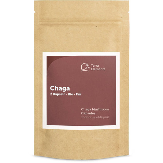 Chaga bio - 150 gélules (400 mg) - SYPURE