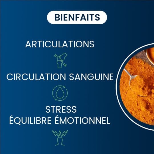 Curcumine BIO Optimisée - Dynveo - SYPURE