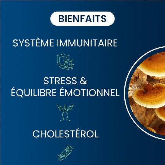 Reishi Bio 200 mg (60 gélules) - Dynveo - SYPURE