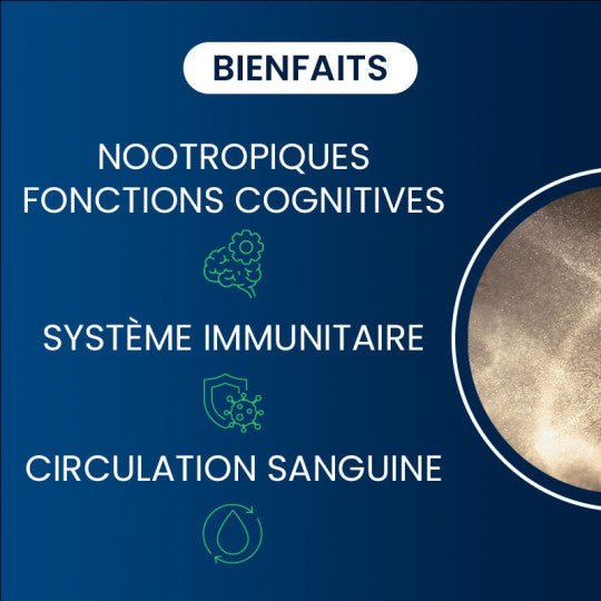 Vitamine B12 active - Dynvéo - SYPURE